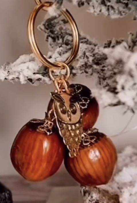 🎄Wunscherfüllender Haselnuss Anhänger aus echten Nüssen von Moritzburg 🪄💫🎄 – Bild 6